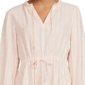 Time and Tru Light Pink Striped Dress